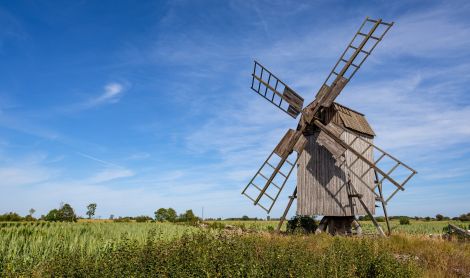 Švedija. Elando sala.