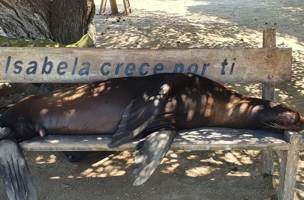 Ekvadoras. Galapagų salos.