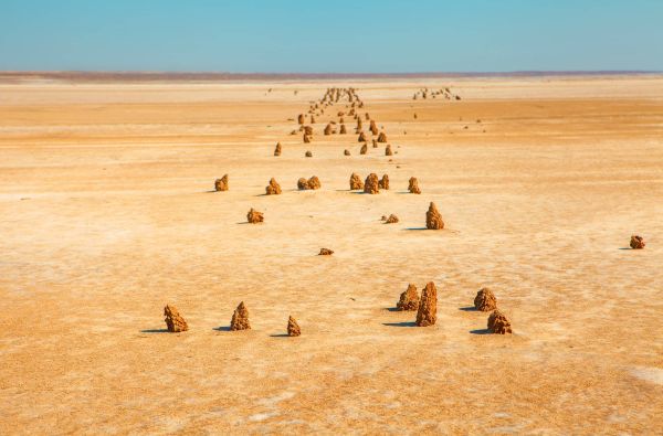 Visa Čilė nuo Atakamos dykumos iki Patagonijos ledynų, aplankant Velykų salą 17d.