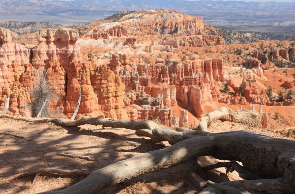 JAV - Laukinių Vakarų prerijos ir prašmatnioji Ramiojo vandenyno pakrantė 22d.