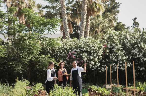 KRETA. Atostogos žalioje oazėje. Skrydis, 7n. CRETAN MALIA PARK 5* viešbutyje su pusryčiais.