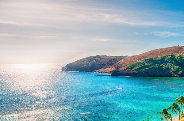 “Aloha“ Havajai: miestai, salos ir vulkanai 10d.