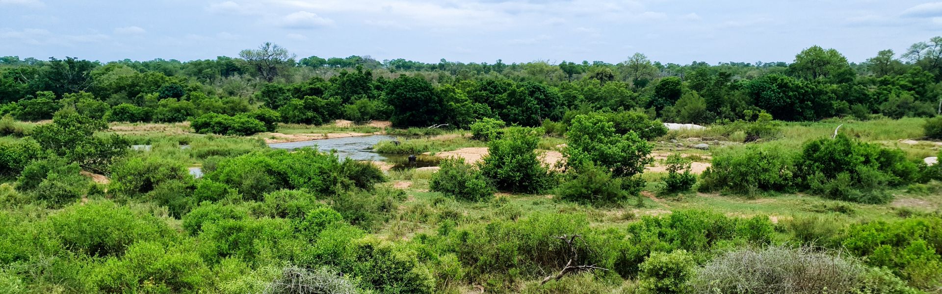 Naudinga informacija apie Kriugerio nacionalinį parką