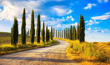 Italija. Chianti.