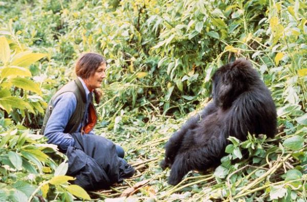 Uganda - Ruanda. Laukinių stebuklų keliais – nuo pasaulio audrų iki primatų sostinės 14d.