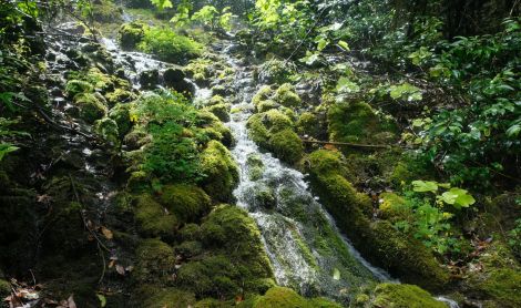 Italija. Varone krioklys.