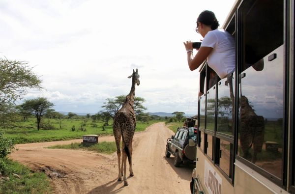 Nuotykių safaris po Rytų Afriką: Kenija - Tanzanija, aplankant garsiausius šių šalių laukinės gamtos nacionalinius parkus ir rezervatus 11d.