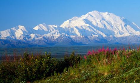 Ekspedicija į Aliaską II su žvejyba Kenai upėje