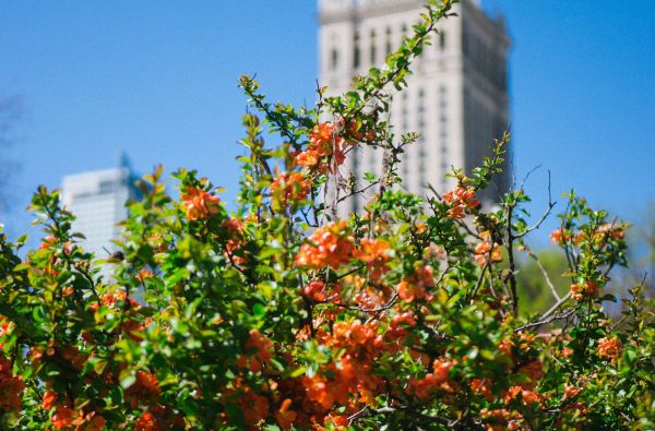 Prabangus savaitgalis Varšuvoje 2d.