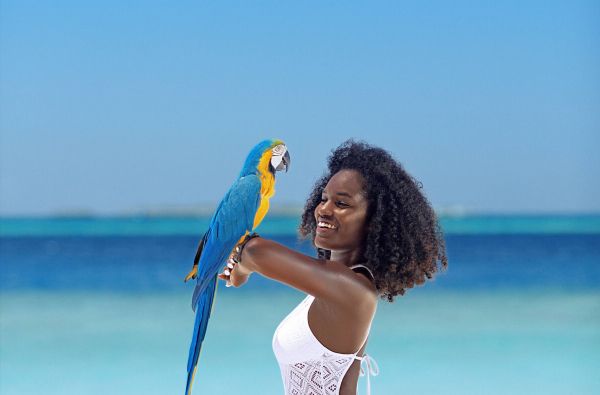 Saulėtos atostogos Maldyvuose! Skrydis, pervežimas ir 7 n. viešbutyje MALAHINI KUDA BANDOS 4* su pusryčiais ir vakarienėmis