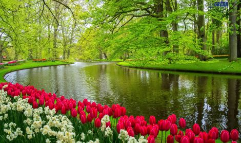 Olandija. Kaukenhofo sodas.