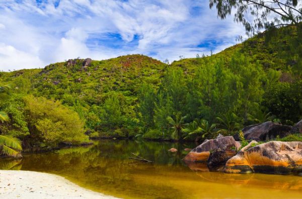 8 dienų dienų Seišelių kruizas