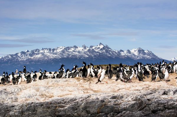 Čilė - Bolivija - Argentina, aplankant Ugnies Žemę. Kelionės pratęsimas Velykų saloje 18d. (23d.)
