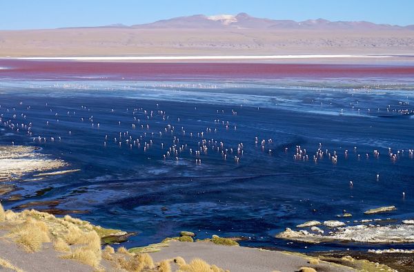 ČILĖ – BOLIVIJA, aplankant Atakamos dykumą, Ujūnio druskos „sniegynus“ ir Patagonijos ledynus. Kelionės pratęsimas Velykų saloje 14d. (18d.)