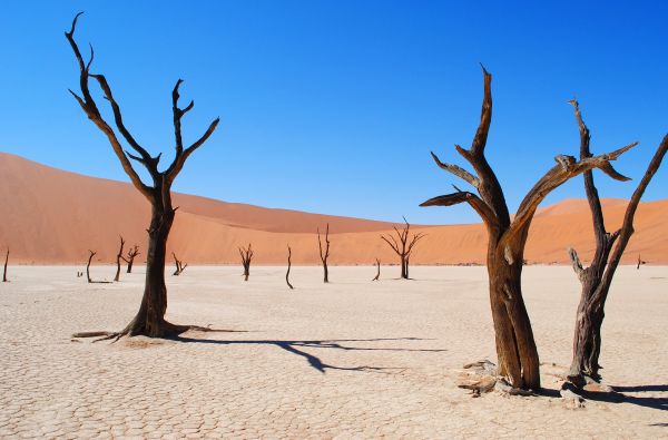 Namibija - „šypsena Afrikos veide“. Laukinės gamtos nuotykių safaris 13d.