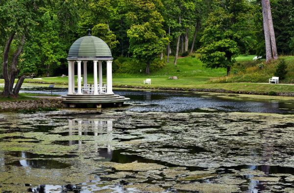 Estijos gamtos lobynas 4d.