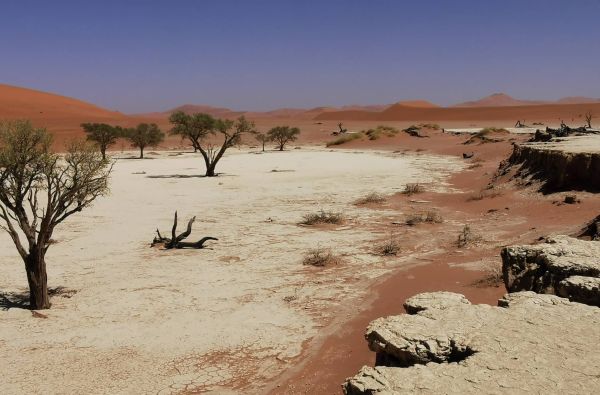 Namibija - „šypsena Afrikos veide“. Laukinės gamtos nuotykių safaris 13d.