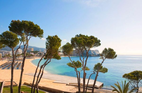 Magalufas. Saulėtos atostogos žalumoje skęstančioje MALJORKOJE. Skrydis, 7n. viešbutyje MELIA CALVIA BEACH 4*, su pusryčiais  - nuo 665 €!