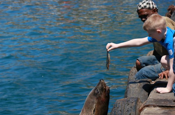 Pietų Afrikos Respublika - Vaivorykštės keliu. Išskirtinis nuotykių turas. Bene išsamiausia pažintinė programa 17d.