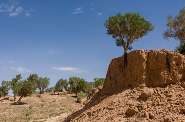 Mongolija. Klajoklių šalies paslaptys – nuo stepių iki mėlyno dangaus 15d.