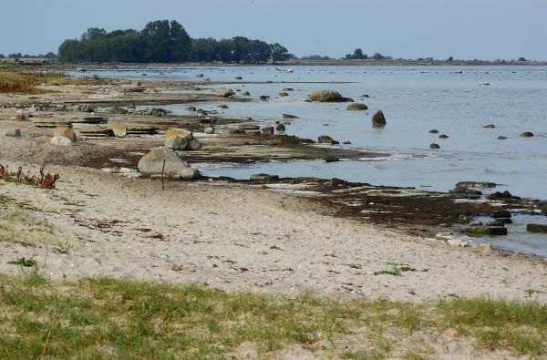 Atrask Elandą - saulės ir vėjų salą 4d.