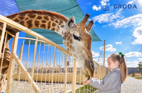 GRŪDA. Serengetis - Legolendas - Heidės pramogų parkas