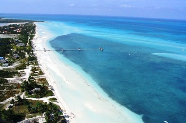 Temperamentingoji Kuba