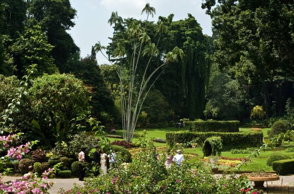 Šri Lanka – Indijos vandenyno perlas, dieviškasis Edeno sodas su poilsiu kurorte prie Indijos vandenyno 13d.