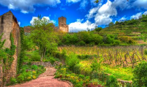 Prancūzija. Kaysersbergas.