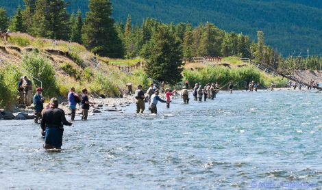 Ekspedicija į Aliaską II su žvejyba Kenai upėje