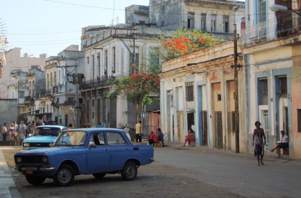 Temperamentingoji Kuba