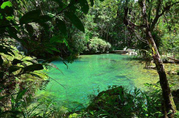 Temperamentingoji Kuba