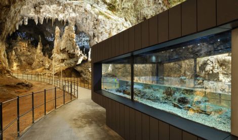 Slovėnija. Postoinos urvai.