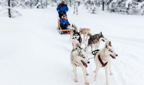 Suomija. Laplandija.