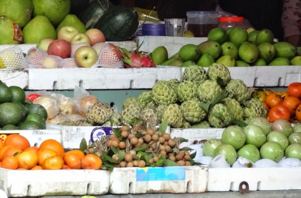 Naujųjų metų sutikimas laive Ha Long įlankoje, poilsis prie Pietų Kinijos jūros ir pažintinė programa po Vietnamą 13d.