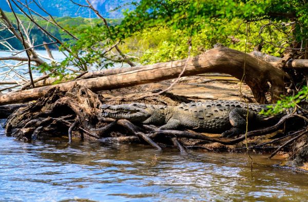 Naujųjų metų sutikimas Meksikoje – paslapčių žemė su poilsiu Kankuno kurorte 14d.