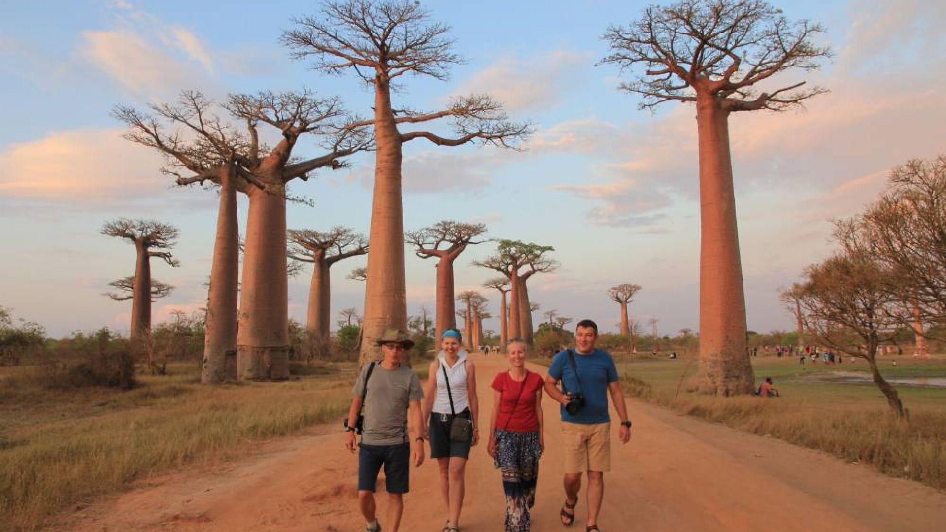 Gyvenimo kelionė į Afriką. Baobabų alėja ir akistata su kalnų gorilomis (III dalis)