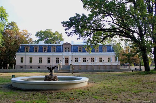 Žagarės vyšnių festivalis 1d.