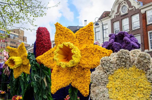 Gėlių paradas Olandijoje 7d.