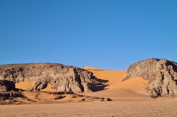 SACHARA su Alžyro prieskoniu 14d.