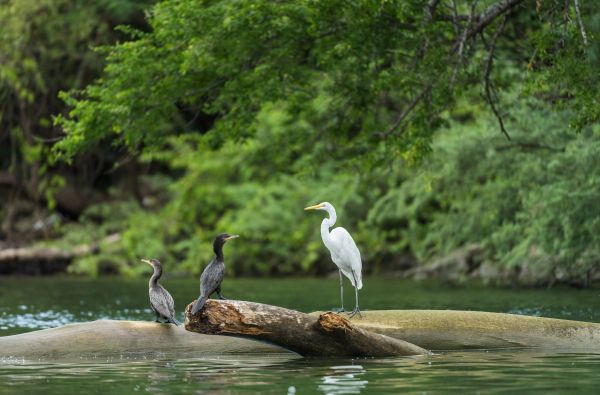 Didingoji Meksika – paslapčių žemė su poilsiu Kankuno kurorte 14d.