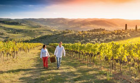 Italija. Chianti.