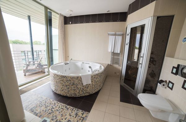 Viešbutis DRUSKININKAI 4*