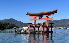 Japonija