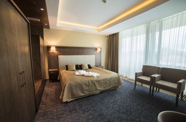 Viešbutis DRUSKININKAI 4*