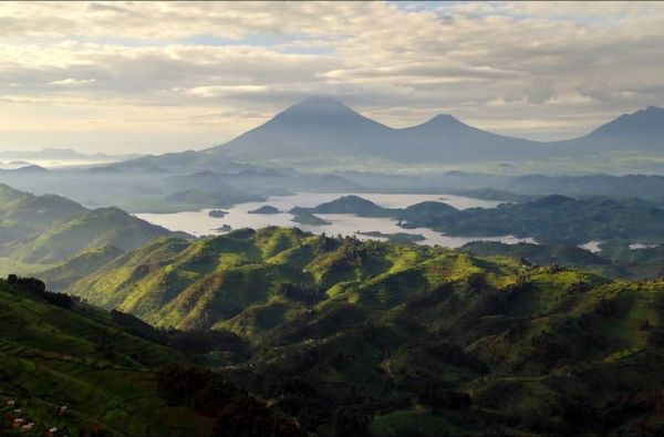 Uganda - Ruanda. Laukinių stebuklų keliais – nuo pasaulio audrų iki primatų sostinės 14d.