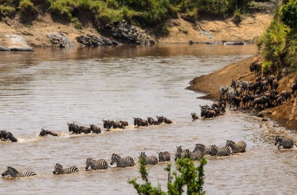 Nuotykių safaris po Rytų Afriką: Kenija - Tanzanija, aplankant garsiausius šių šalių laukinės gamtos nacionalinius parkus ir rezervatus 11d.
