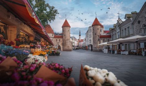 Estija. Talino vartai.