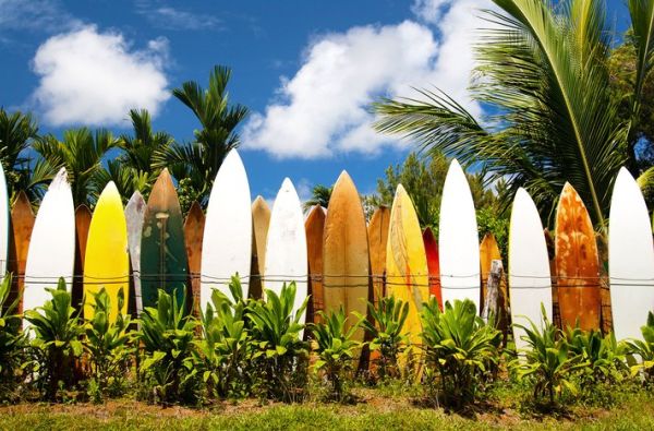 “Aloha“ Havajai: miestai, salos ir vulkanai 10d.