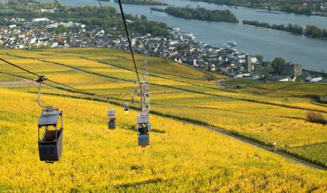 Vokietija. Rudesheimo miestelis.